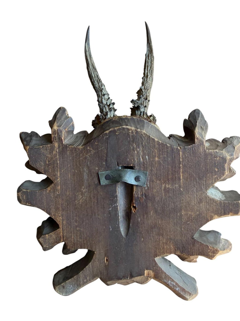 Roe Deer Trophy 228 Black Forest Antlers Mount