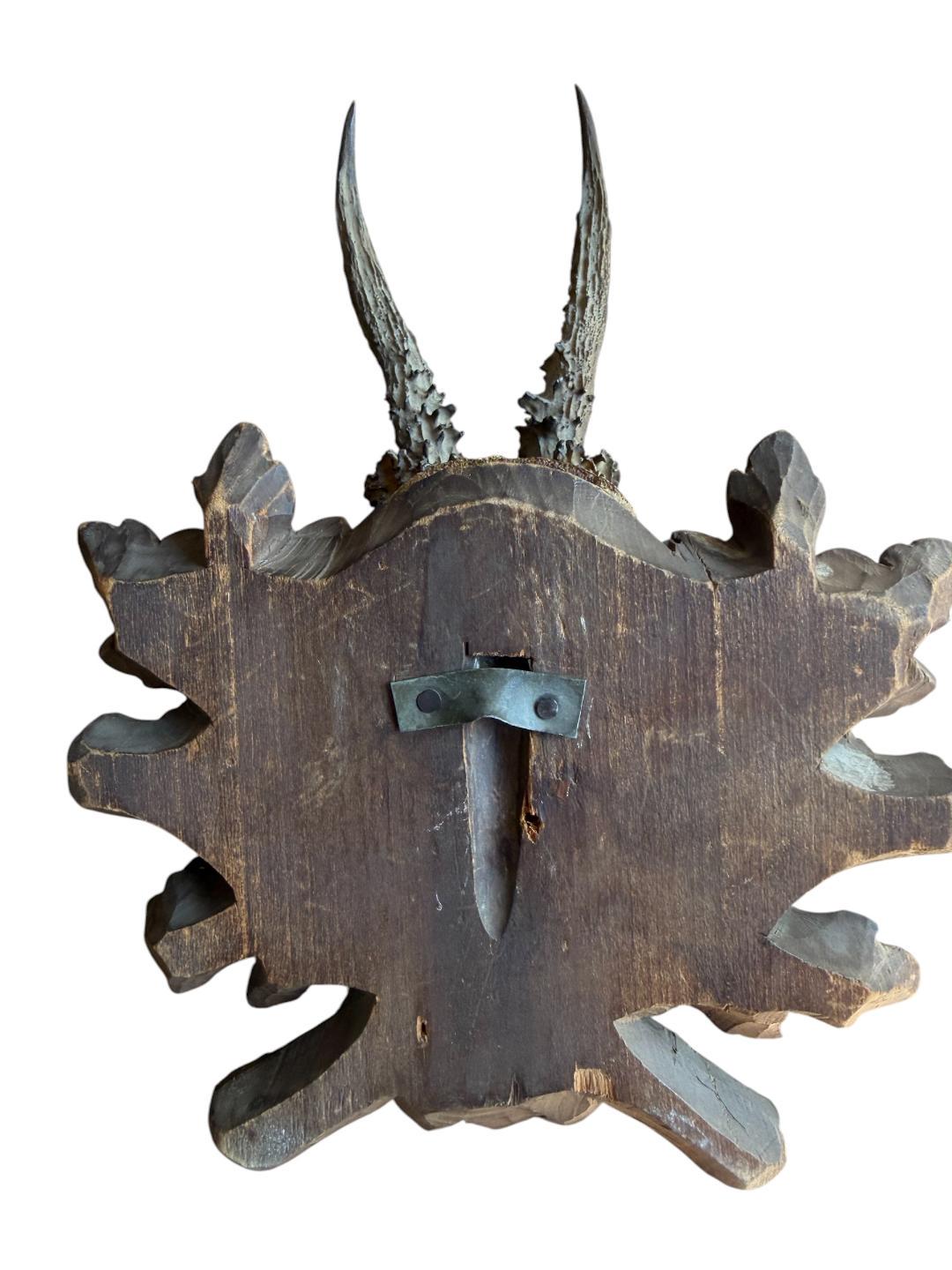 Roe Deer Trophy 228 Black Forest Antlers Mount