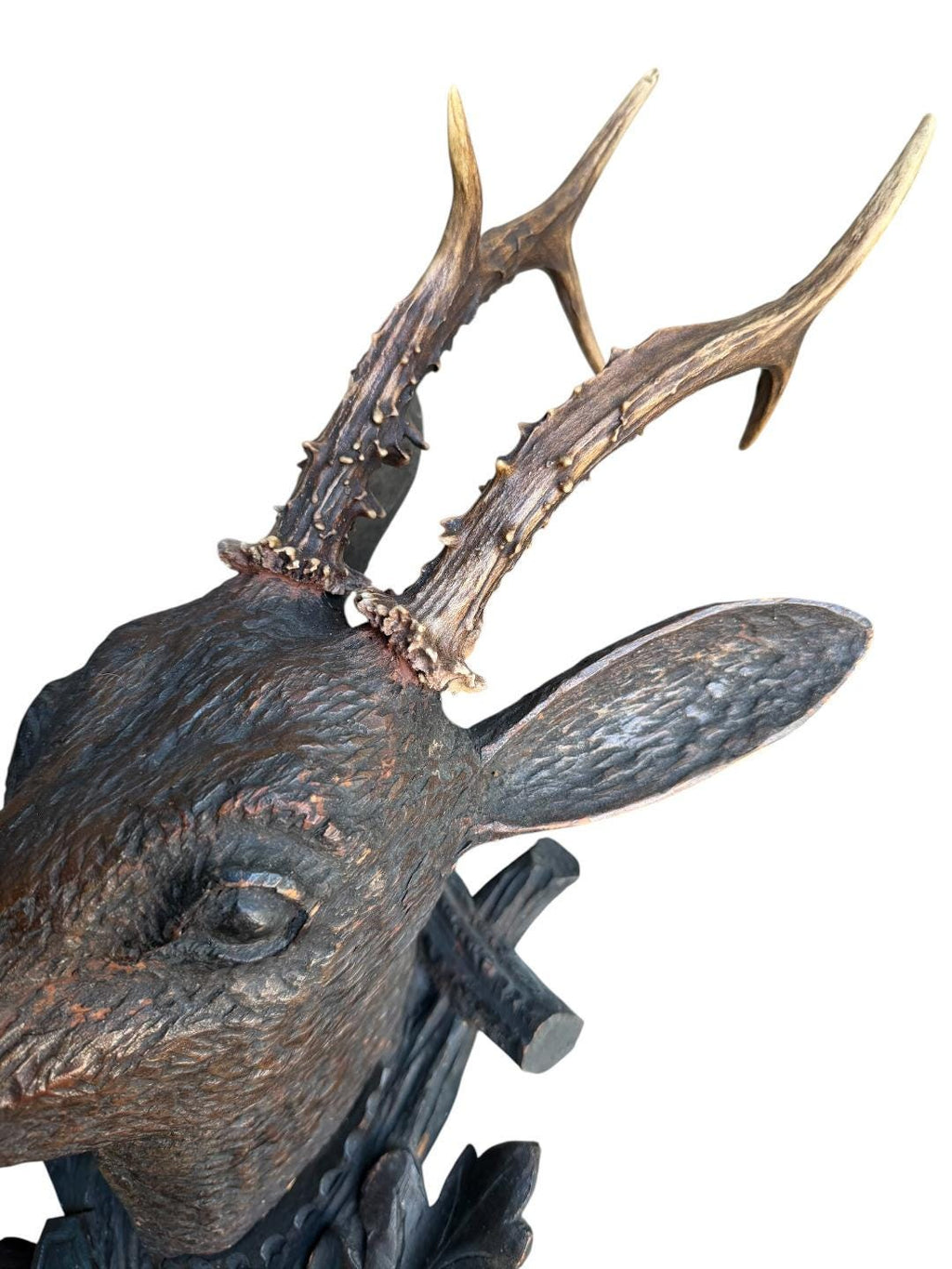 Black Forest Hand-Carved Wood Deer Head with Real Antlers