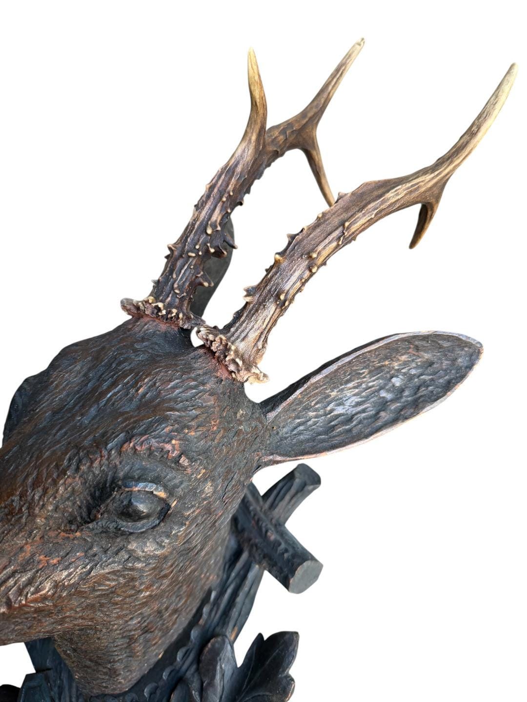 Black Forest Hand-Carved Wood Deer Head with Real Antlers