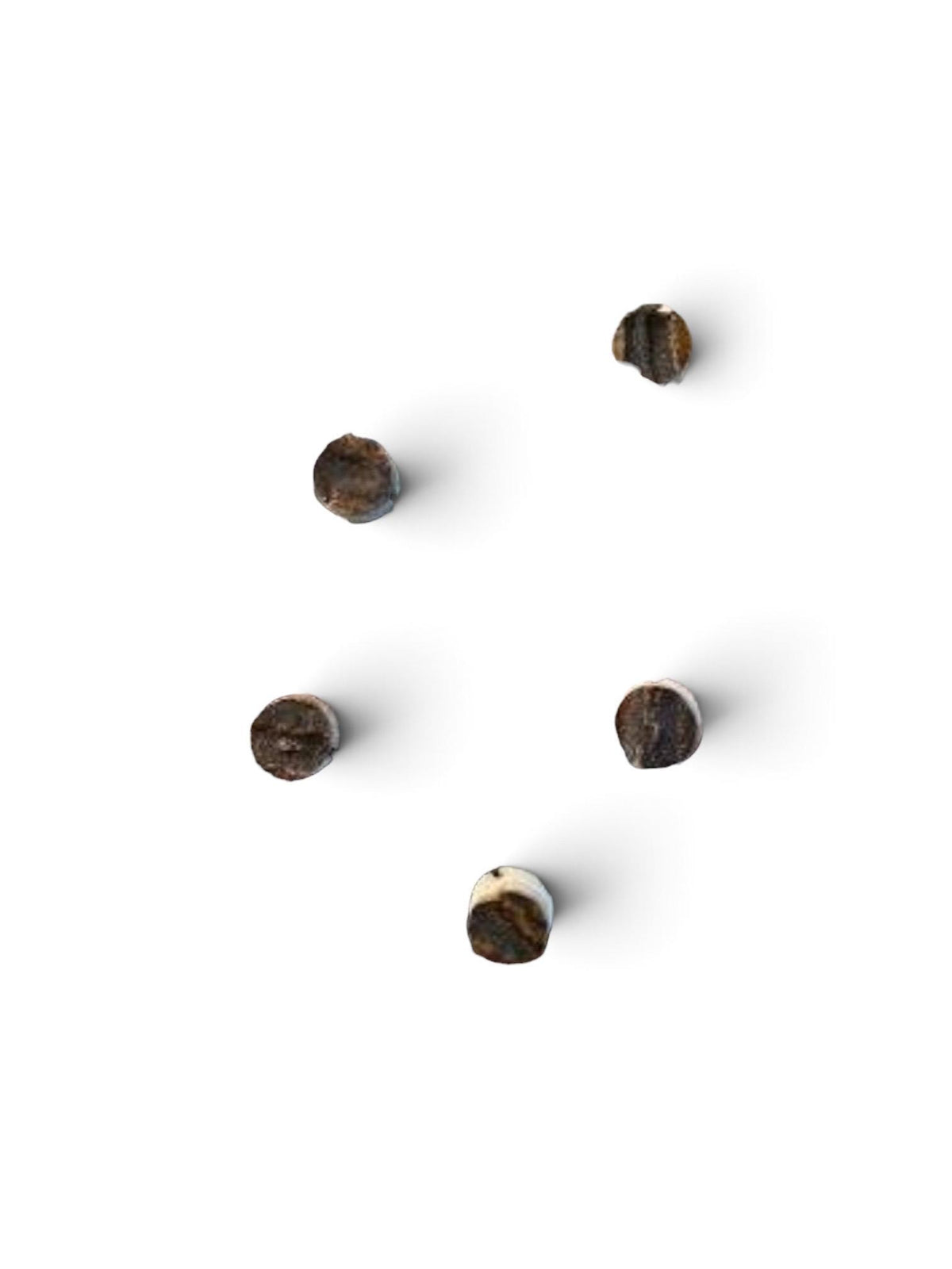 Set of Six Round Antler Buttons
